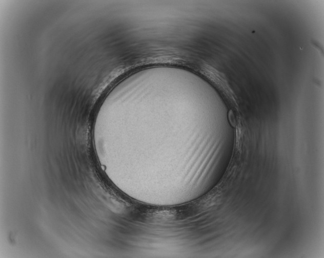 X0000100500156200806271307