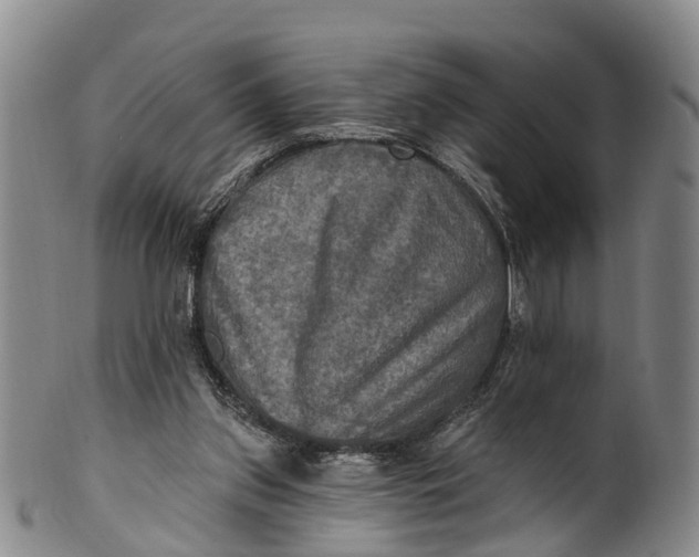 X0000100500157200806271307