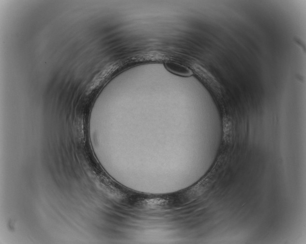 X0000100500158200806271307