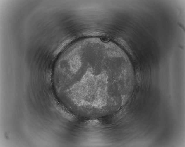 X0000100500159200806271307