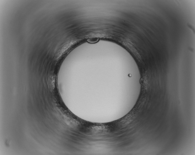 X0000100500160200806271307