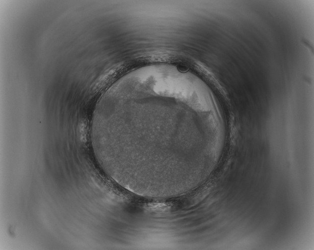 X0000100500161200806271307