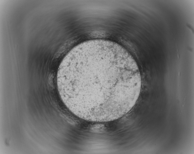 X0000100500162200806271307