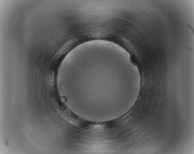 X0000100500163200806271307