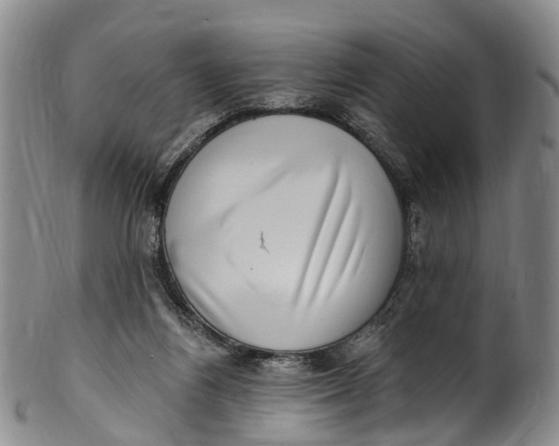 X0000100500164200806271307