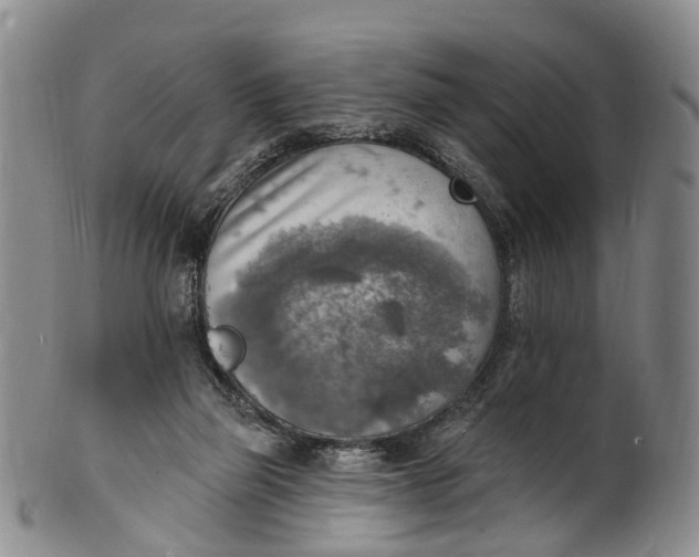 X0000100500165200806271307