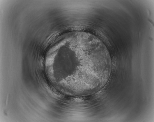 X0000100500166200806271307