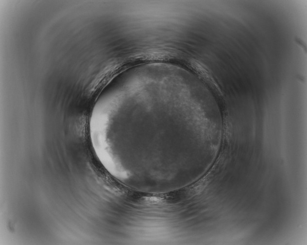 X0000100500167200806271307