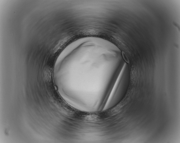 X0000100500168200806271307