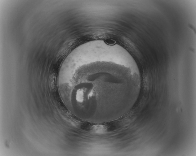 X0000100500169200806271307