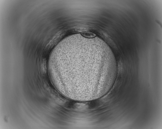 X0000100500170200806271307