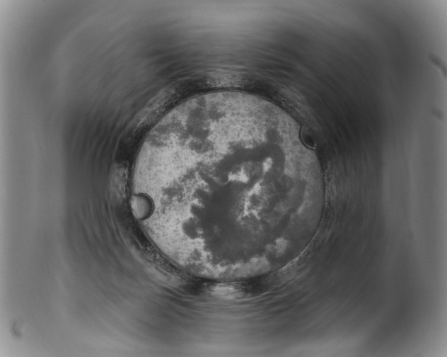 X0000100500171200806271307