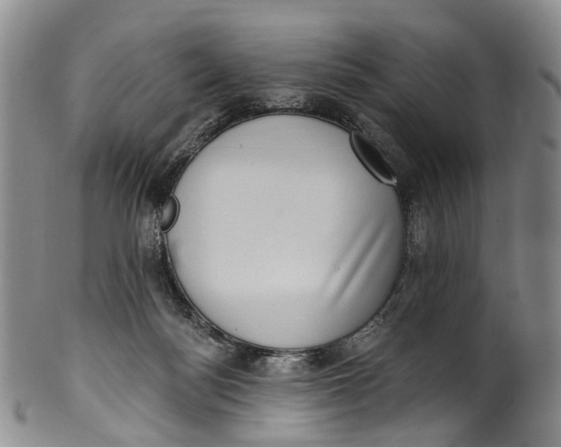 X0000100500172200806271307