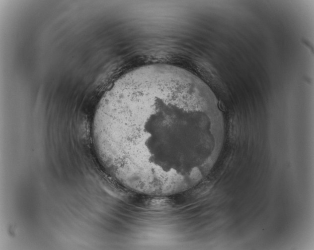 X0000100500173200806271307