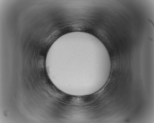 X0000100500174200806271307