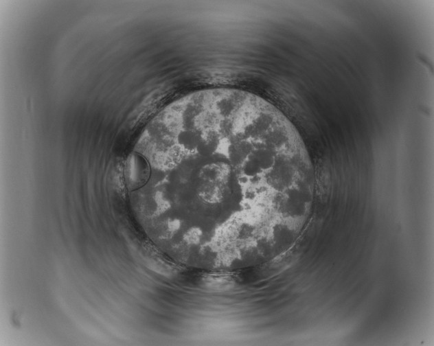 X0000100500175200806271307