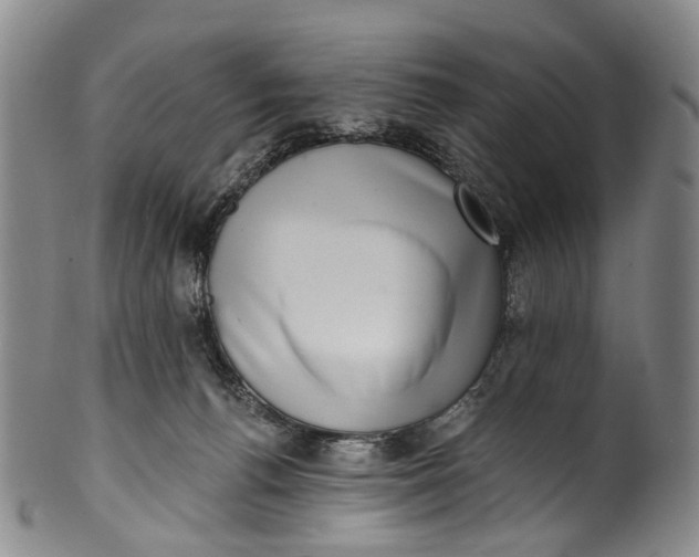 X0000100500176200806271307