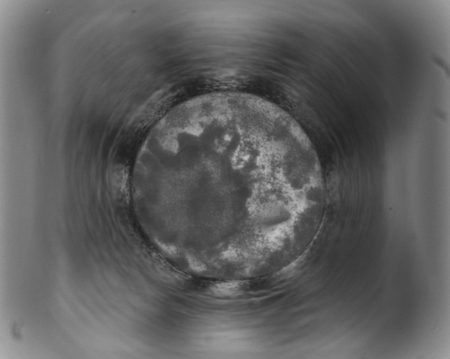 X0000100500178200806271307