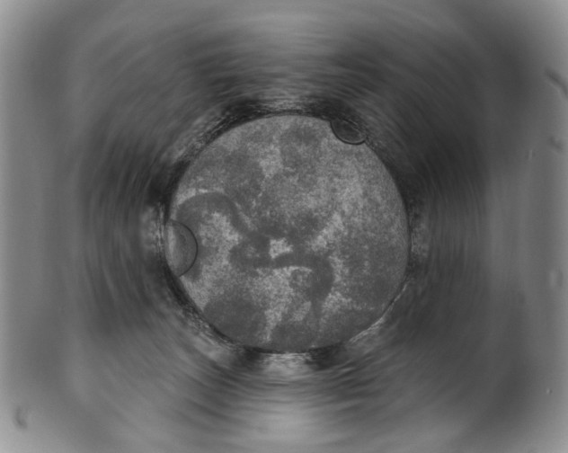 X0000100500179200806271307