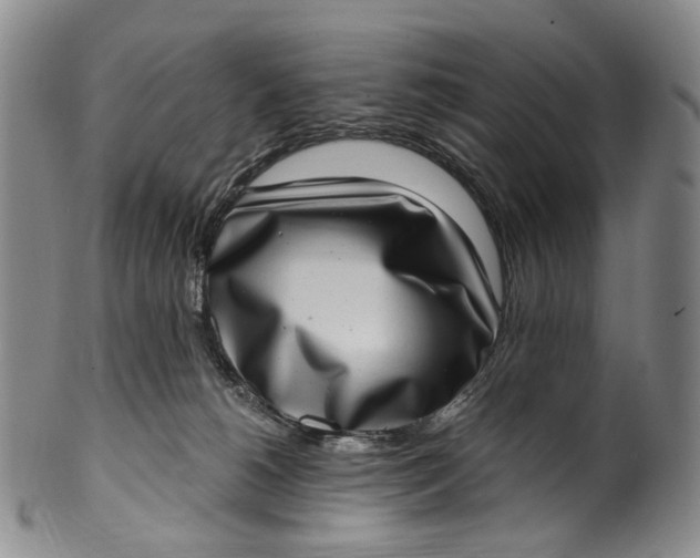 X0000100500180200806271307