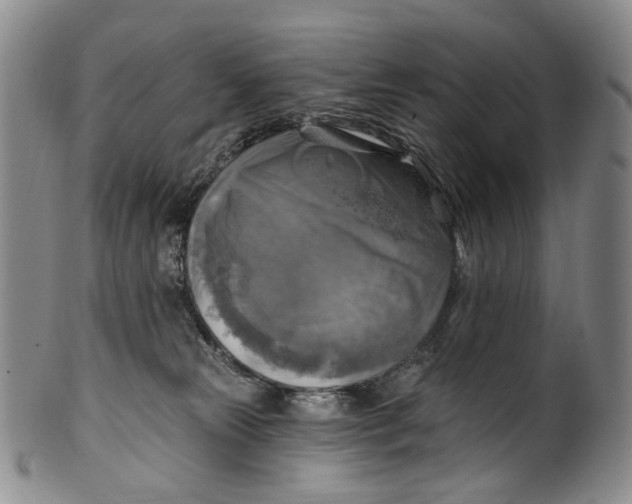 X0000100500181200806271307