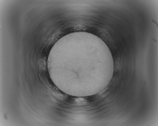 X0000100500183200806271307