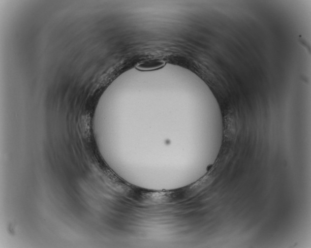 X0000100500184200806271307