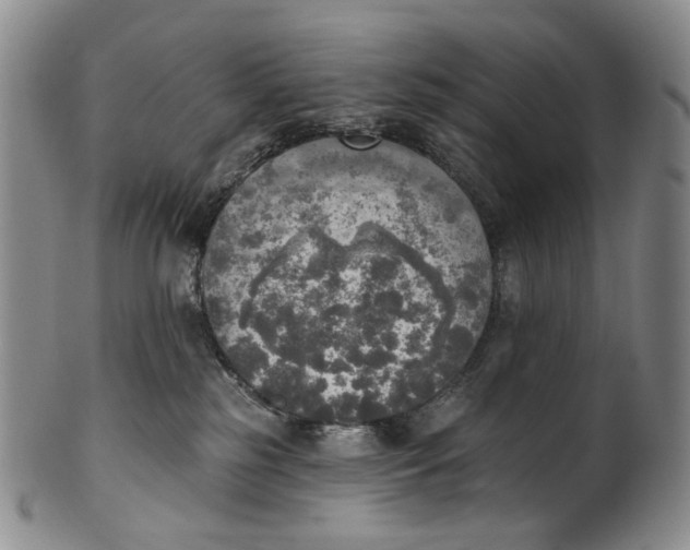 X0000100500185200806271307