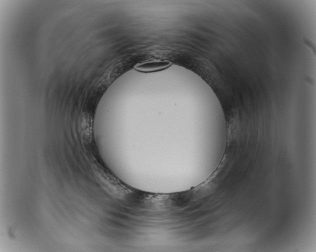 X0000100500186200806271307