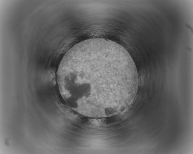 X0000100500187200806271307