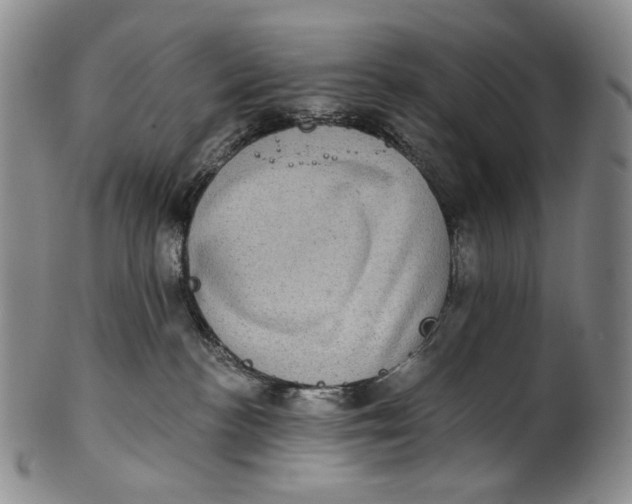 X0000100500188200806271307