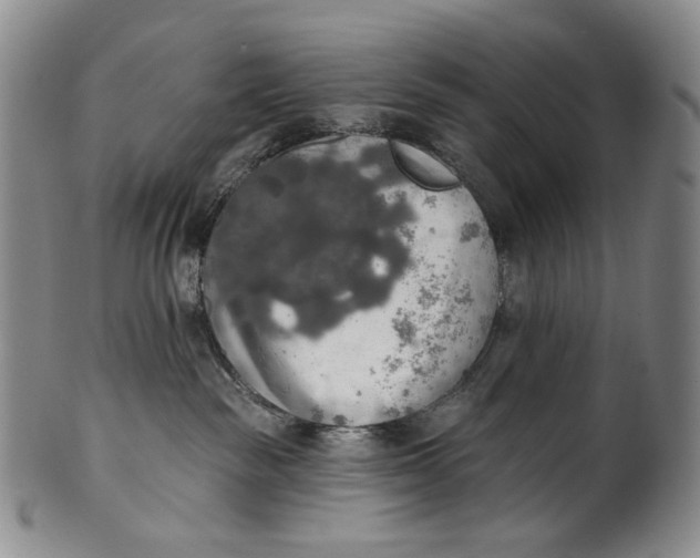 X0000100500189200806271307