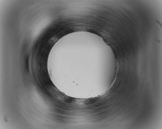 X0000100500190200806271307