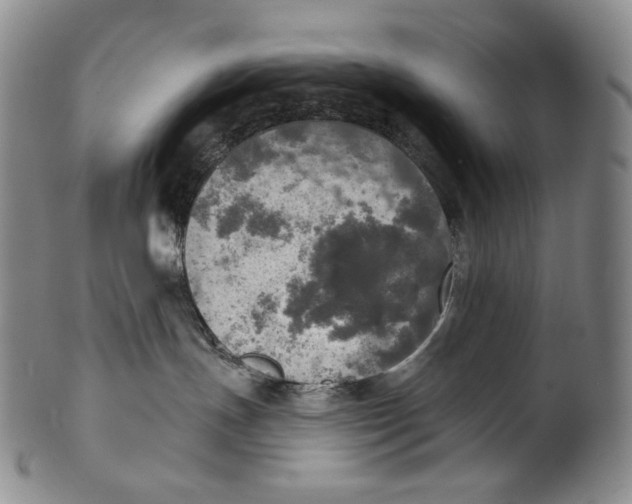 X0000100500191200806271307