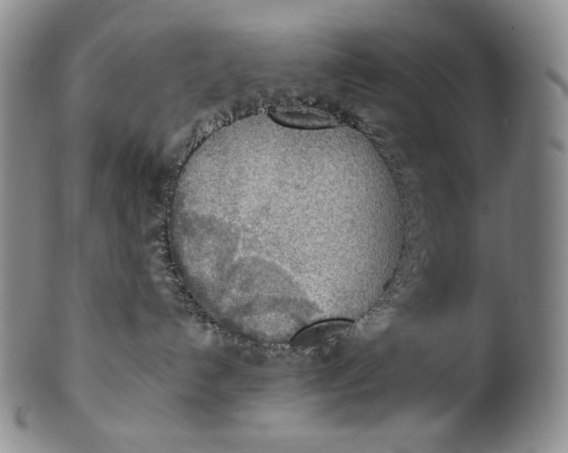 X0000100500192200806271307