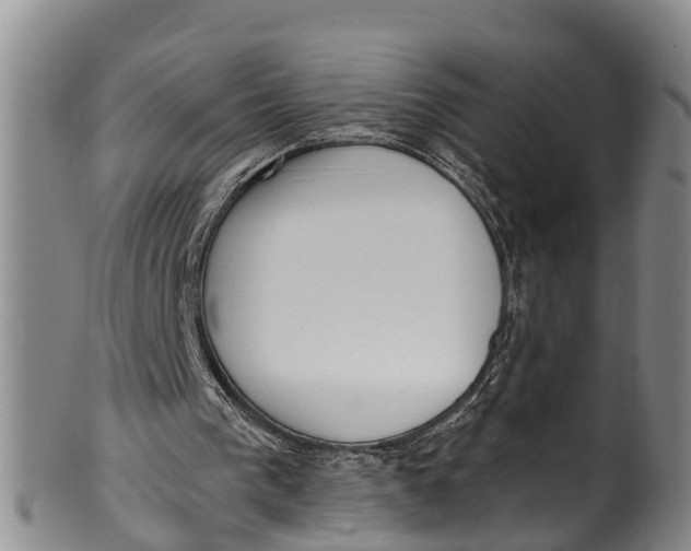 X0000100500193200806271306