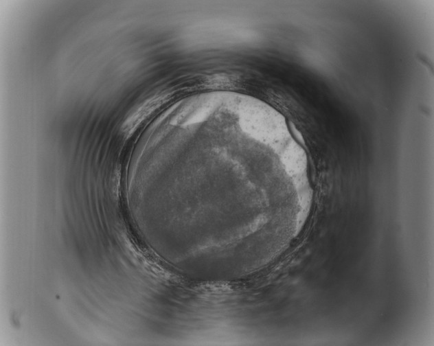 X0000100500194200806271306