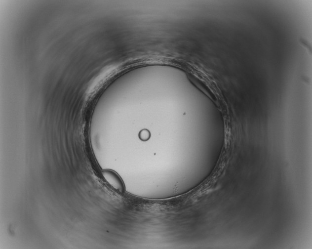 X0000100500197200806271306