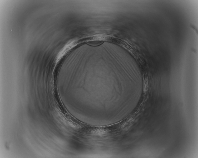 X0000100500198200806271306