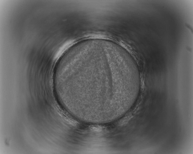 X0000100500199200806271306