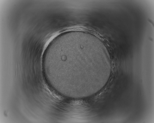 X0000100500200200806271306