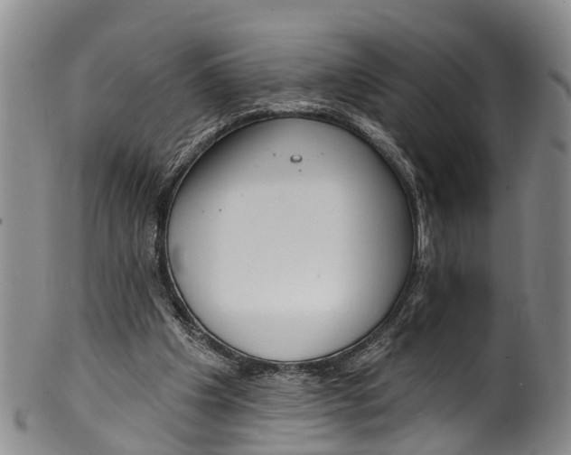 X0000100500201200806271306