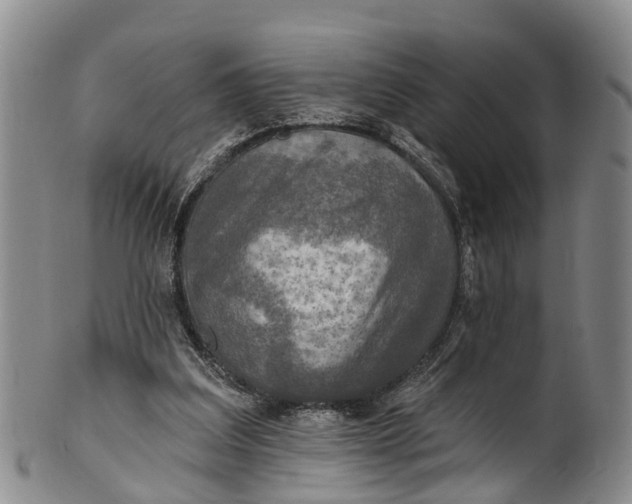 X0000100500203200806271306