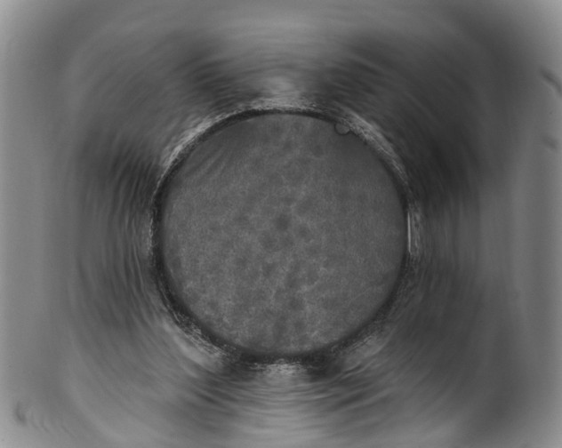 X0000100500204200806271306