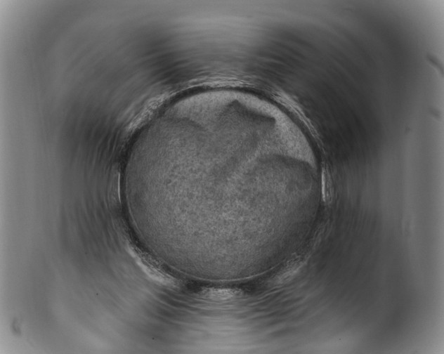 X0000100500205200806271306