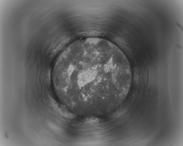 X0000100500206200806271306