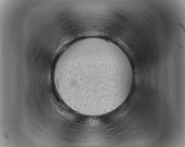 X0000100500207200806271306