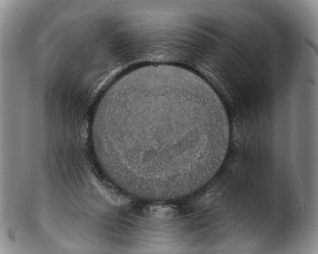 X0000100500208200806271306