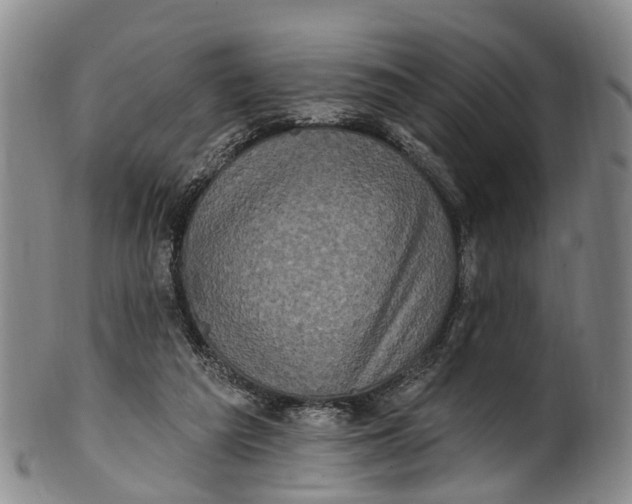 X0000100500209200806271306