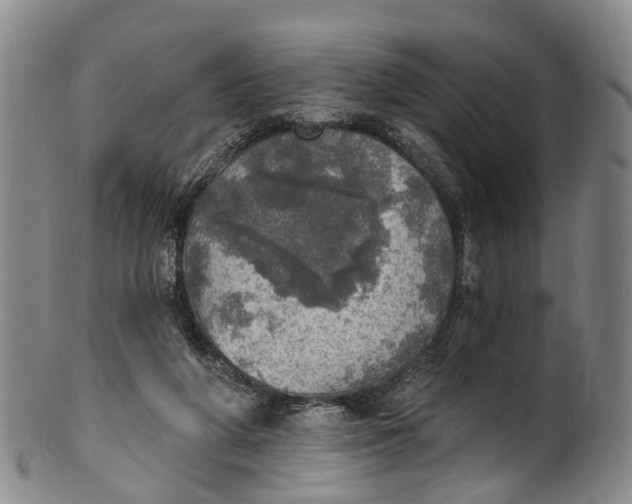 X0000100500210200806271306